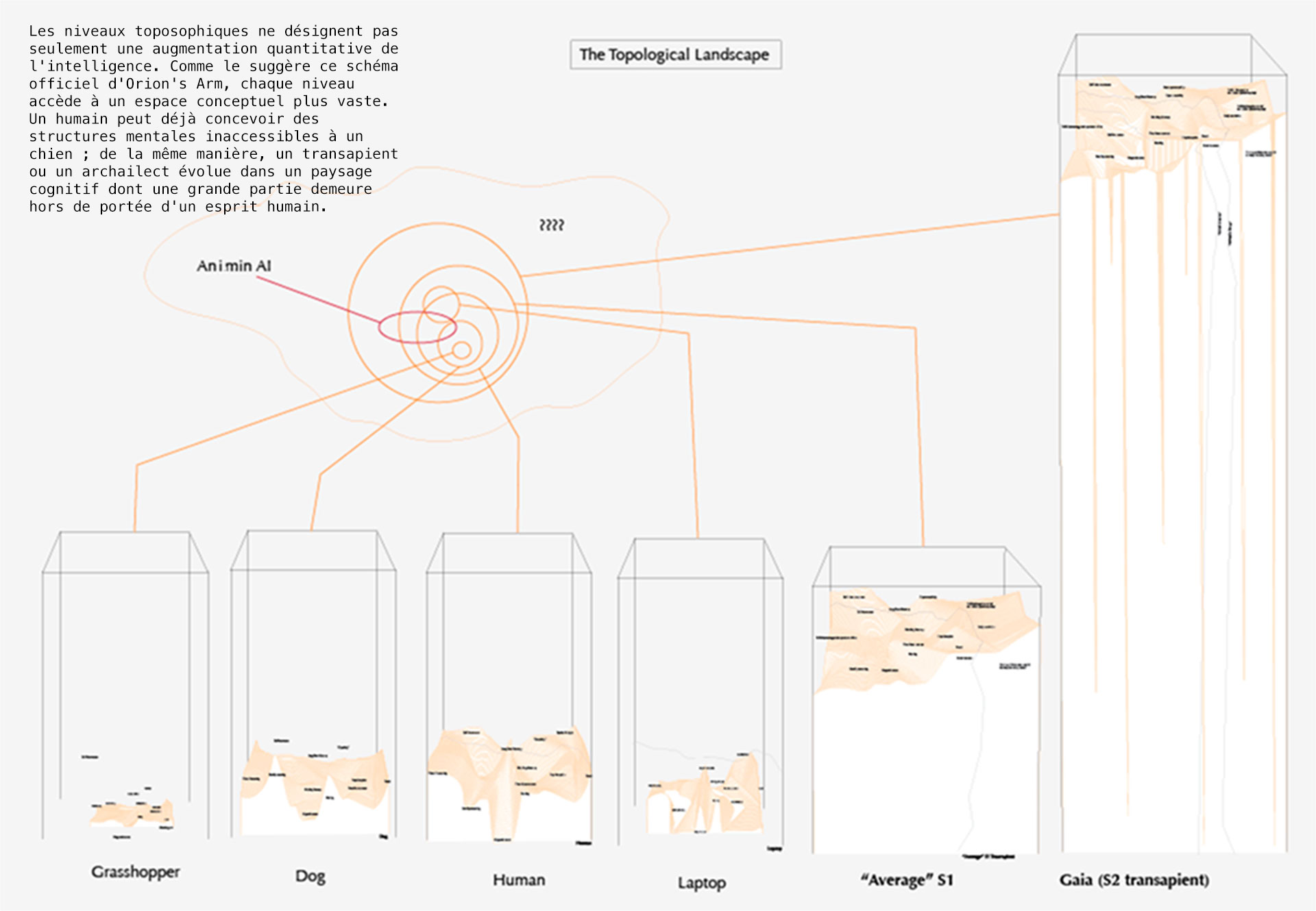 Mindmap-S2-transap-annotation-sfff-fr-Jacques-Urbanska